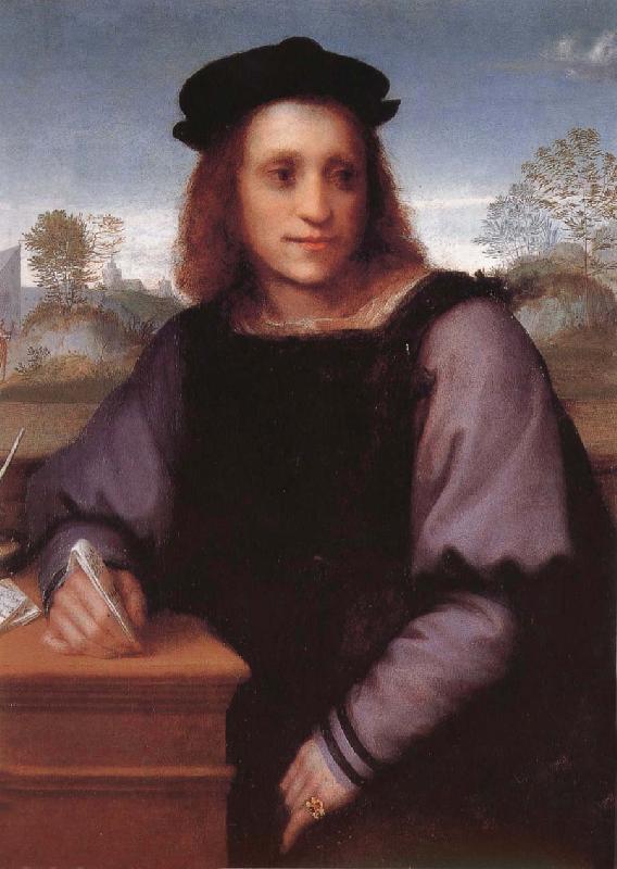 Andrea del Sarto Potrait of man